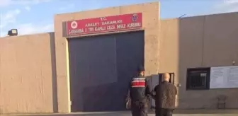 5 Yıl Hapis Cezası Bulunan Firari Hükümlü Samsun'da Yakalandı