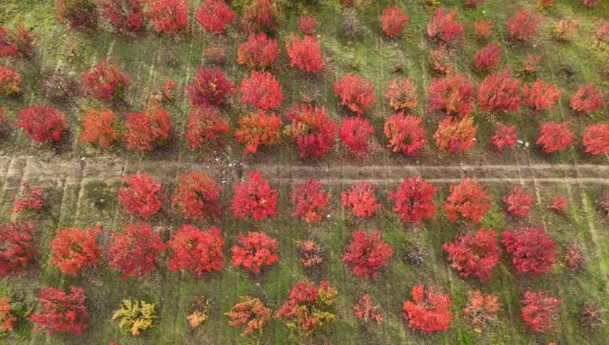 Bursa'da Sonbahar Güzellikleri Dronla Görüntülendi
