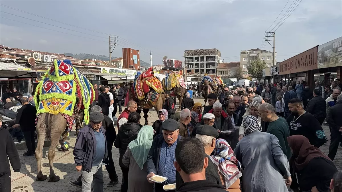 Çan'da Geleneksel Havut Giydirme Hayrı Düzenlendi