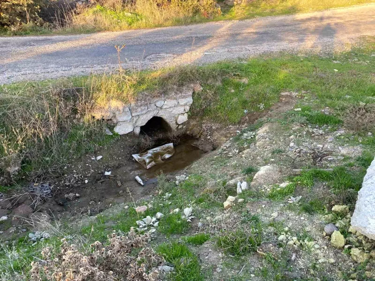 Çanakkale'de Boş Arazide Bebek Cesedi Bulundu