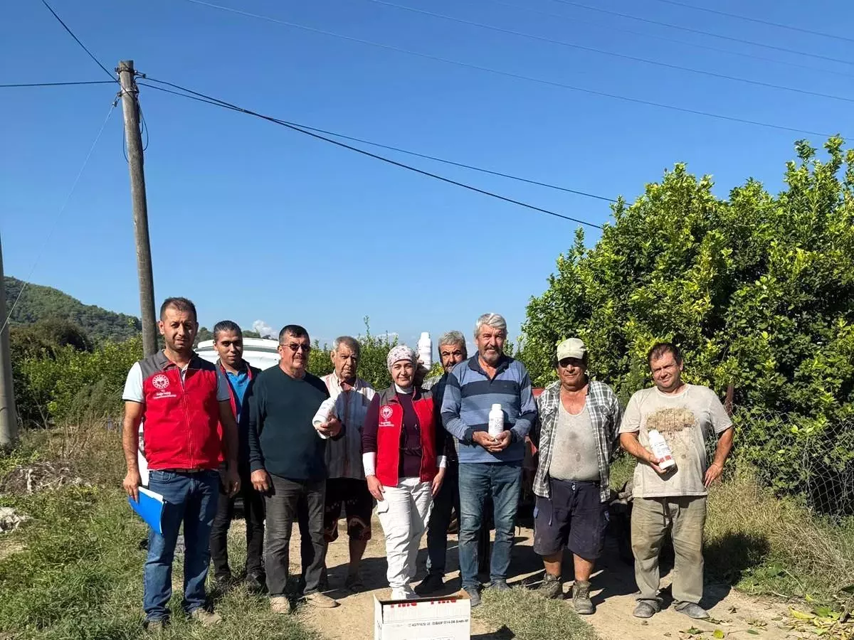 Ortaca'da Narenciye Zararlılarıyla Mücadele Devam Ediyor