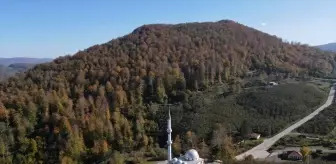 Nebiyan Dağı'nda Sonbahar Renkleri