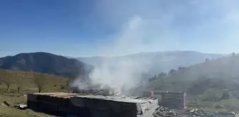 Koyulhisar'da Yangın: Yayla Evi Kullanılamaz Hale Geldi