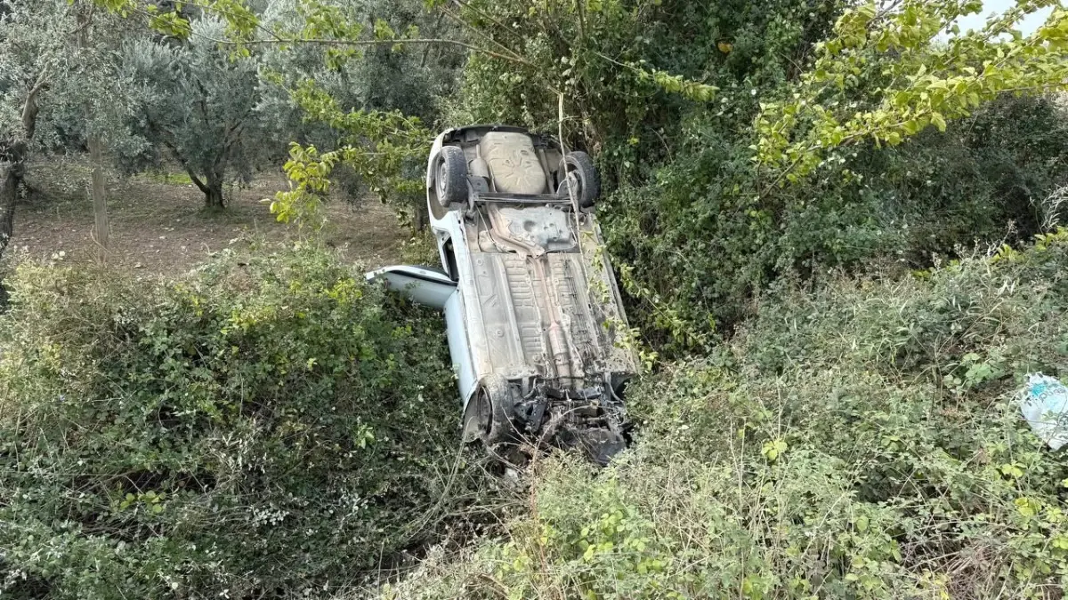 Bursa'da Sollama Yapan Sürücü Zeytinliğe Uçtu