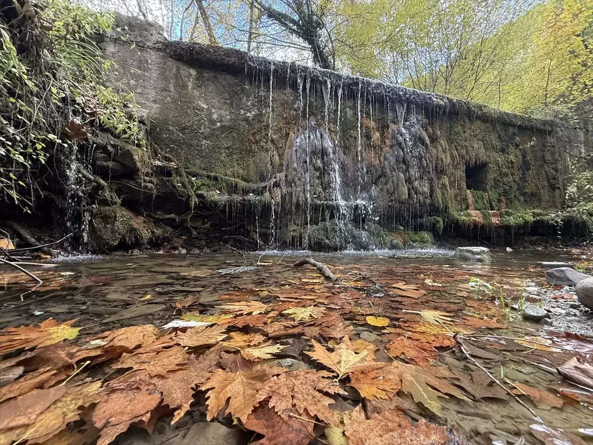 Tekirdağ’da Sonbahar Güzellikleri Doğaseverleri Bekliyor