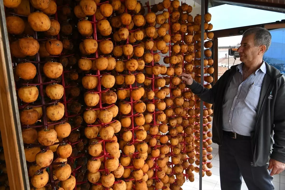 Lapseki'de Üretici, Trabzon Hurmasını Kendi Tasarladığı Aletle Kurutup Kazancını Artırıyor