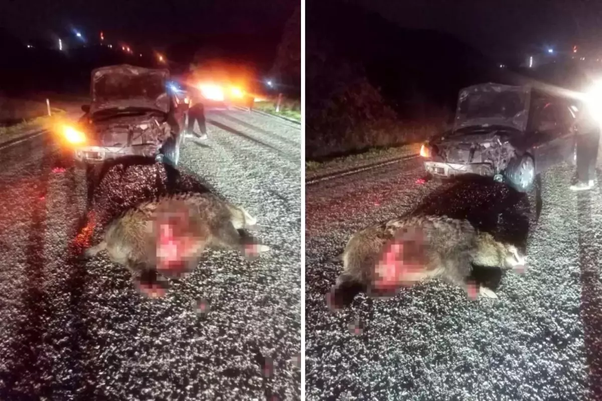 Yola aniden çıktı, kazaya neden oldu