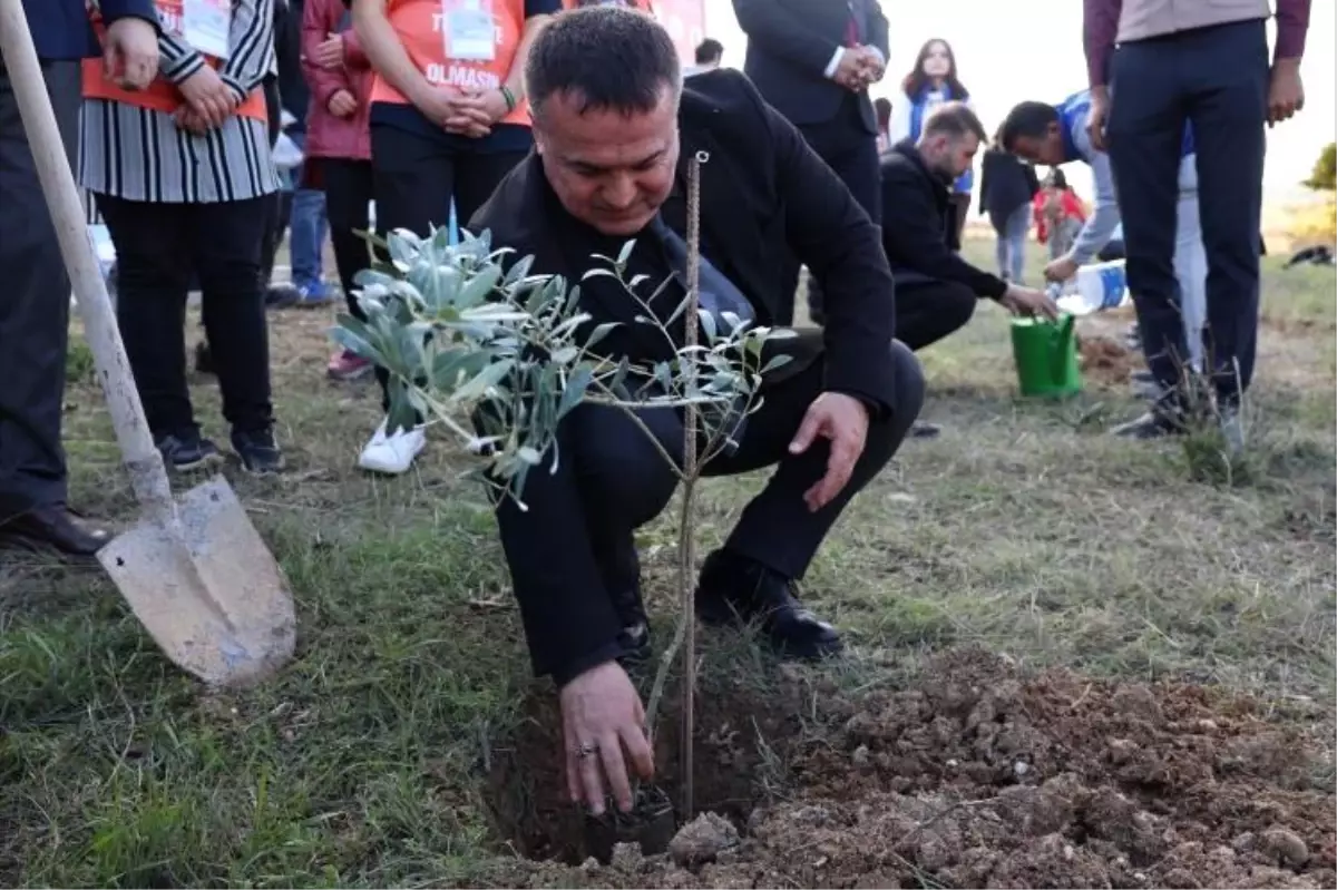 Bilecik Şeyh Edebali Üniversitesi'nde 'Zeytin Dalı' Projesi Gerçekleşti