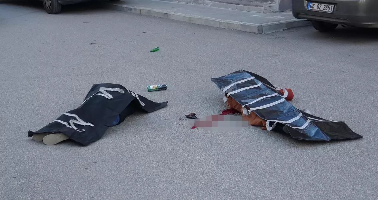 Erzurum'da Kadına Yönelik Şiddet: Cinayet ve İntihar