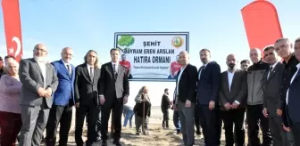 Orman gönüllüsü Bayram Eren Arslan adına hatıra ormanı oluşturuldu