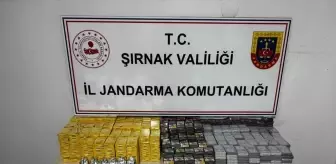 Şırnak'ta Kaçakçılık Operasyonunda 55 Şüpheli Yakalandı