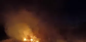 Tunceli'de Otluk Alanda Yangın Sona Erdi