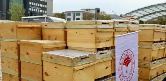 Bingöl'de Organik Arıcılık Projesi Kapsamında 15 Üreticiye Kovan Dağıtıldı