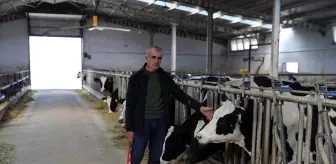 Gemerek'te Süt Üretim Çiftliği Ekonomiye Katkı Sağlıyor