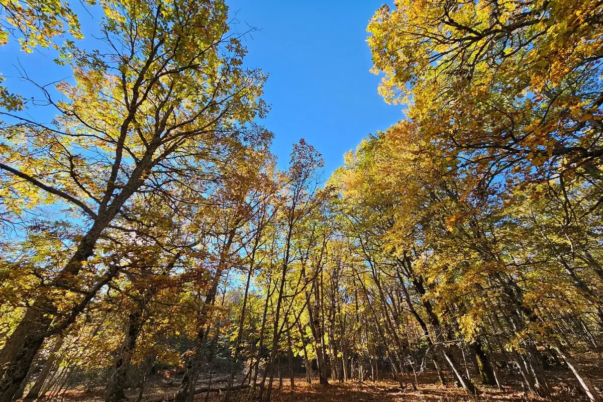 Dünyada bir tek Isparta'da var! İzinsiz girmenin cezası bir servet değerinde