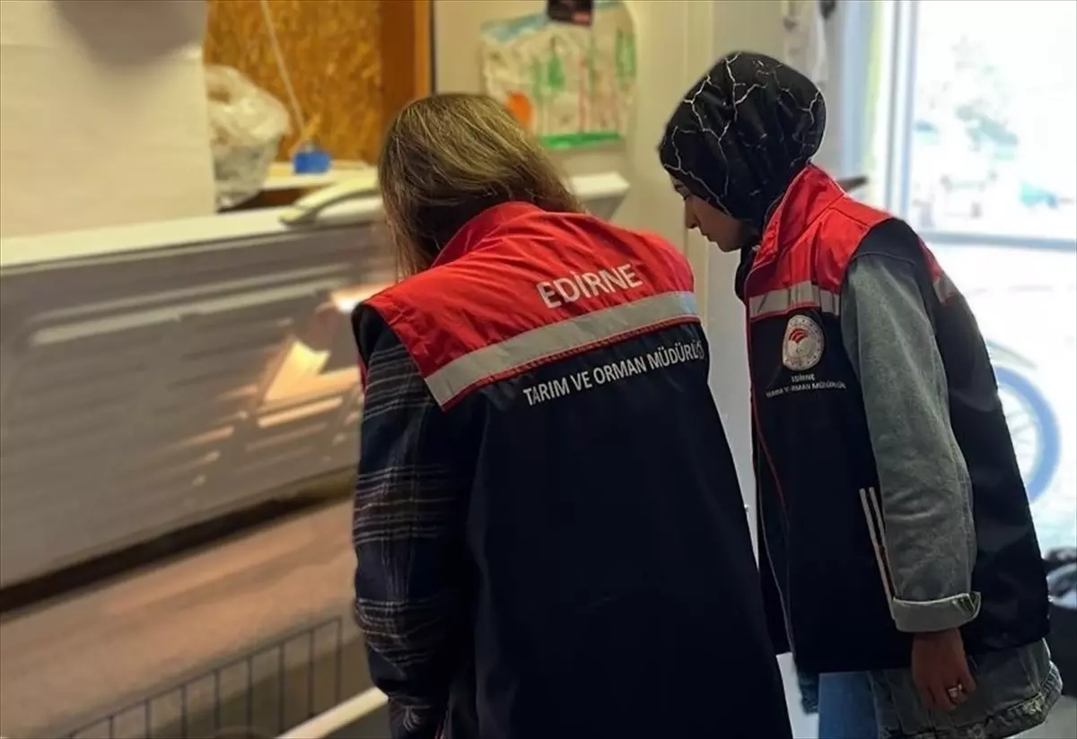 Edirne'de Gıda Güvenliği Denetimleri Sürüyor