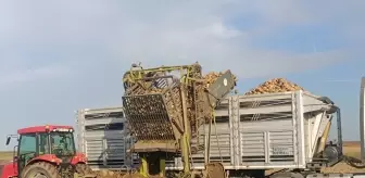 Keşan'da Pancar Hasadı Modern Makinelerle Devam Ediyor