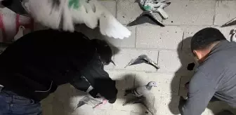 İskenderun'da Uyuşturucu ve Silah Ele Geçirildi, Şüpheli Tutuklandı