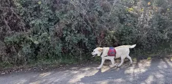 Kastamonu'da Kayıp Anne ve Oğul İçin Arama Çalışmaları Devam Ediyor