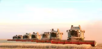Kazakistan'da Tahıl Hasadı Rekor Kırdı: 27,1 Milyon Ton