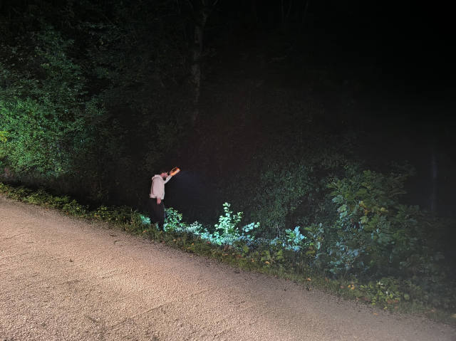 mantar toplamak icin evden cikan anne ve oglu 19216230 7762 m