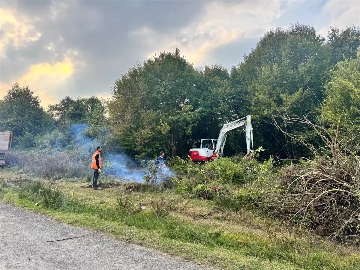 Samsun'da Modern Hayvan Barınağı Yapımına Başlandı