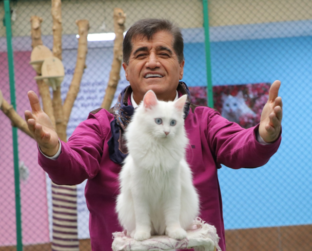 Sanatçı Aydın Aydın, Nesli Tükenmekte Olan Van Kedisiyle Düet Yaptı 3 sanatci aydin aydin nesli tukenmekte olan van 19218568 795 m