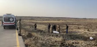 Yoldan geçen vatandaşlar korkunç manzarayla karşılaştı! Hemen 112'ye haber verdiler