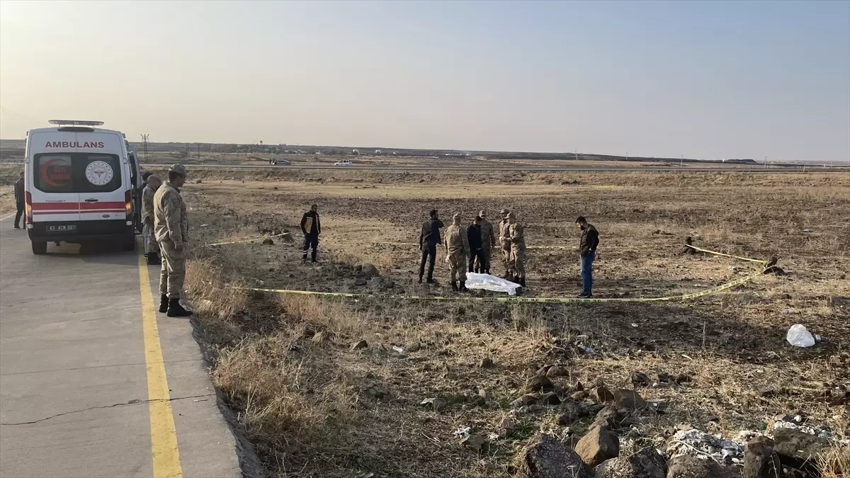 Yoldan geçen vatandaşlar korkunç manzarayla karşılaştı! Hemen 112'ye haber verdiler