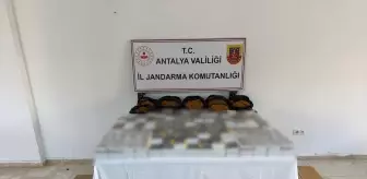 Antalya'da Kaçak Tütün ve Makaron Operasyonu