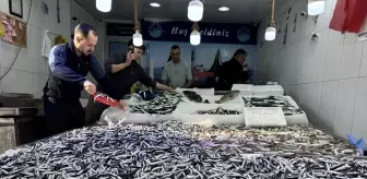 Sinop'ta Hamsi Fiyatları Düşüyor, Kilogramı 50 Lira