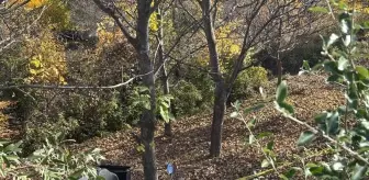 Sivas'ta ATV Kazasında 1 Kişi Hayatını Kaybetti