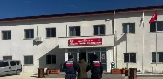 Sivrihisar'da Küçükbaş Hayvan Hırsızlığı: 1 Tutuklama