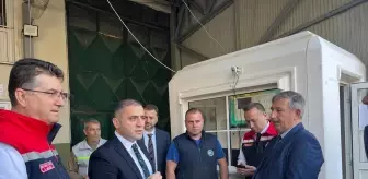 Tekirdağ'da Zeytin Hasadı Etkinliği Düzenlendi