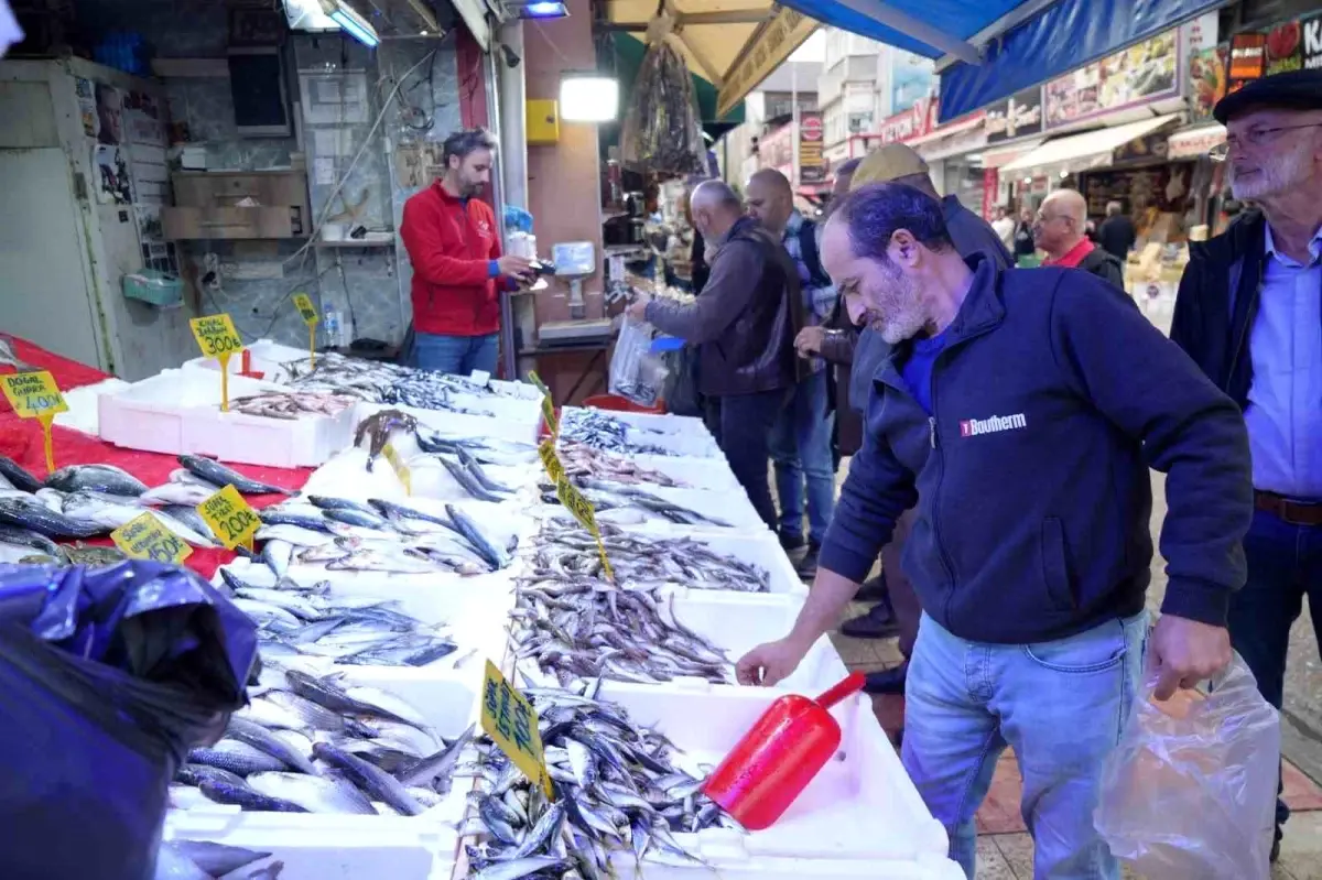 Samsun'da Hamsi Fiyatları Düşerken Balıkçıların İlgisi Azalıyor