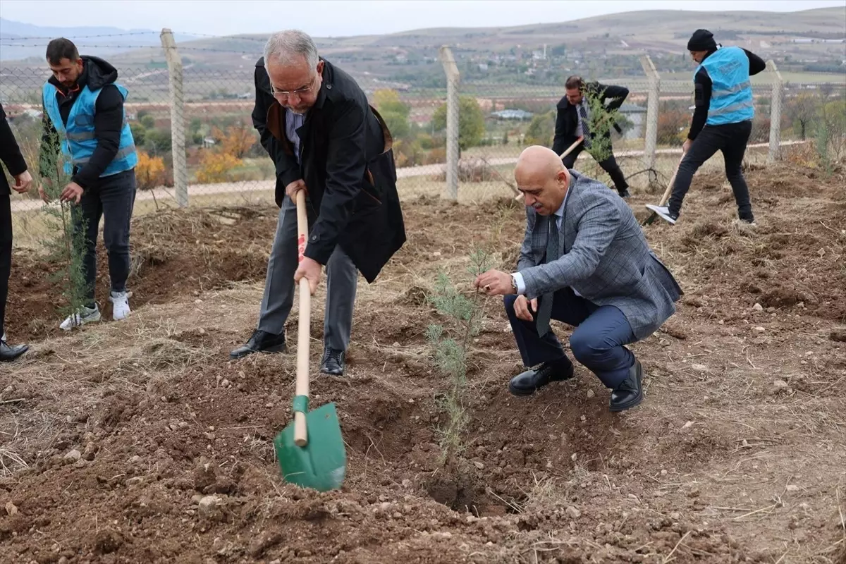 Tokat'ın Zile İlçesinde Fidan Dikim Etkinliği Düzenlendi