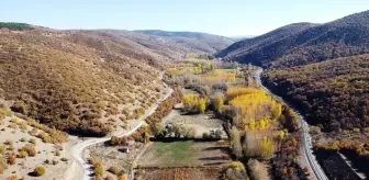 Tokat'ın Yeşilyurt İlçesinde Sonbahar Renkleri