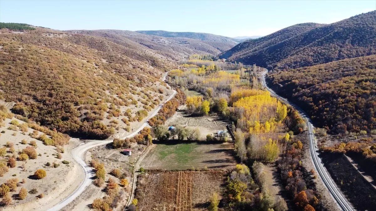 Tokat'ın Yeşilyurt İlçesinde Sonbahar Renkleri