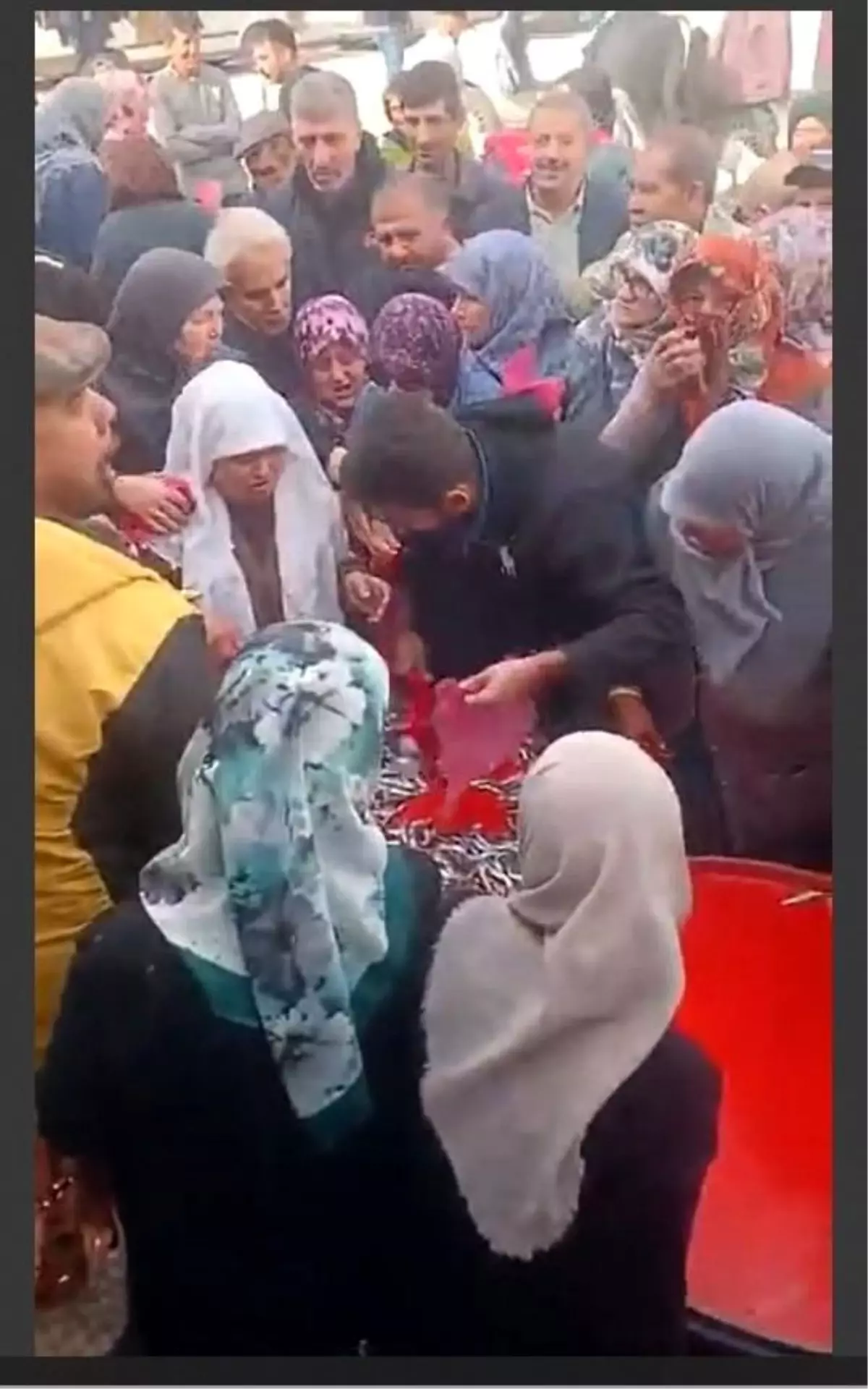 Eskişehir'de Ücretsiz Hamsi Dağıtımı Yoğun İlgi Görüyor