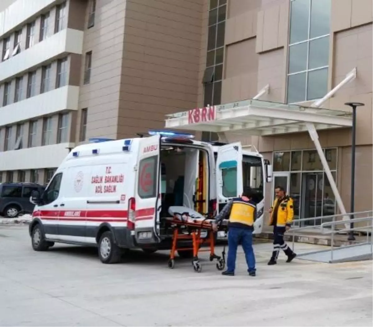 Erzincan'da Üzüm Bağında Ayı Saldırısı