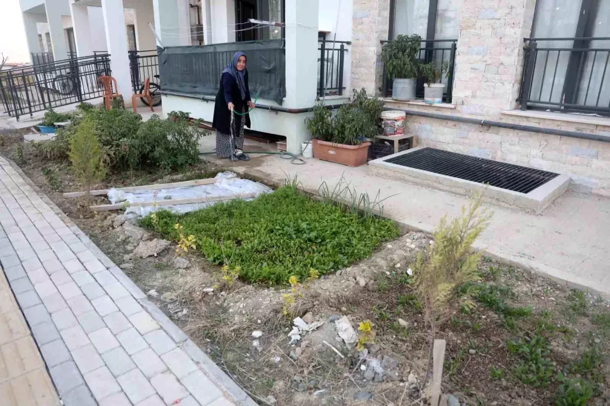 Depremzede Gülfidan Çatlak, Yeni Evinde Bahçe Kurdu