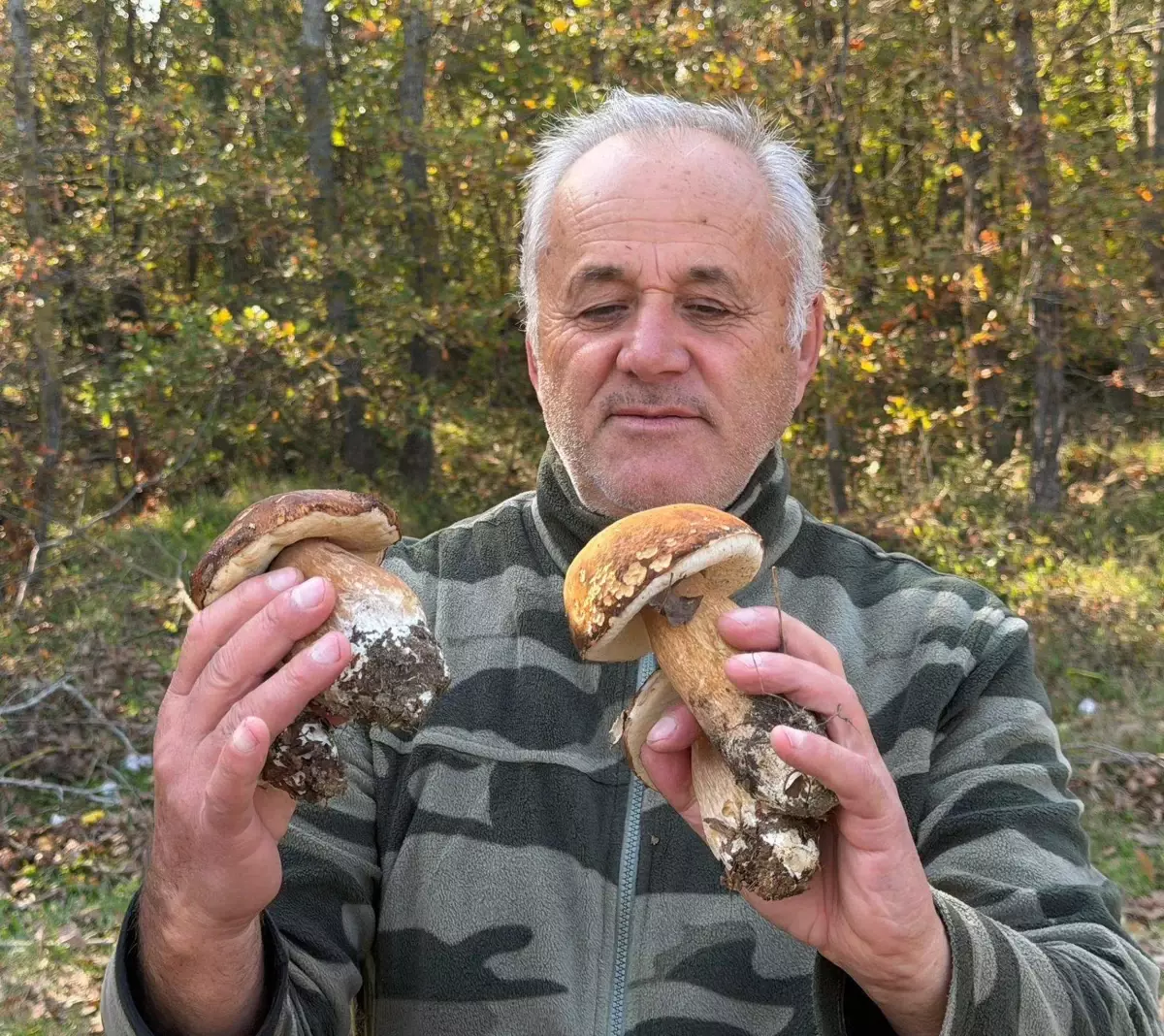 Istranca Ormanları'nda Mantar Popülasyonu Kuraklık Nedeniyle Düşüyor