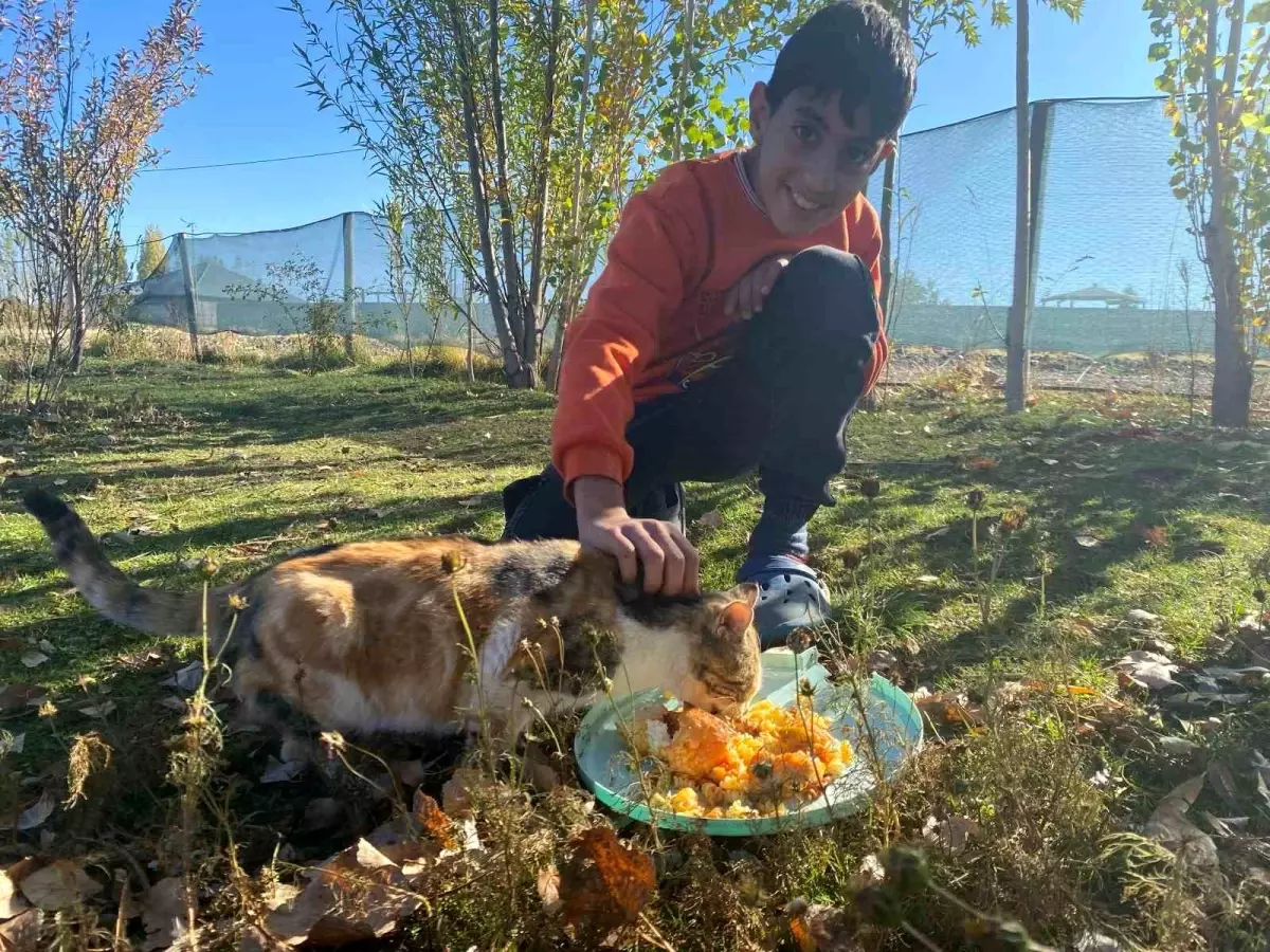 Sokak Hayvanlarına Sevgiyle Bakıyor