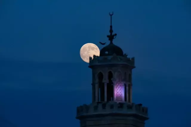 van da cekildi herkes bu kareyi paylasiyor 19220925 3764 o