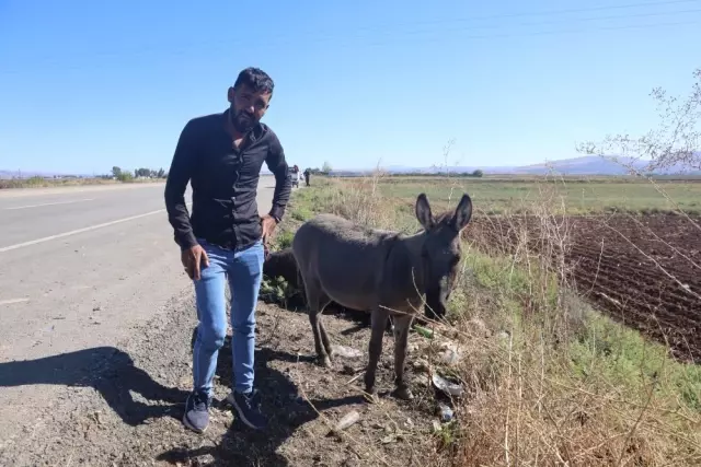 yurek yakan anlar saatlerce annesinin basinda 19220234 5434 o