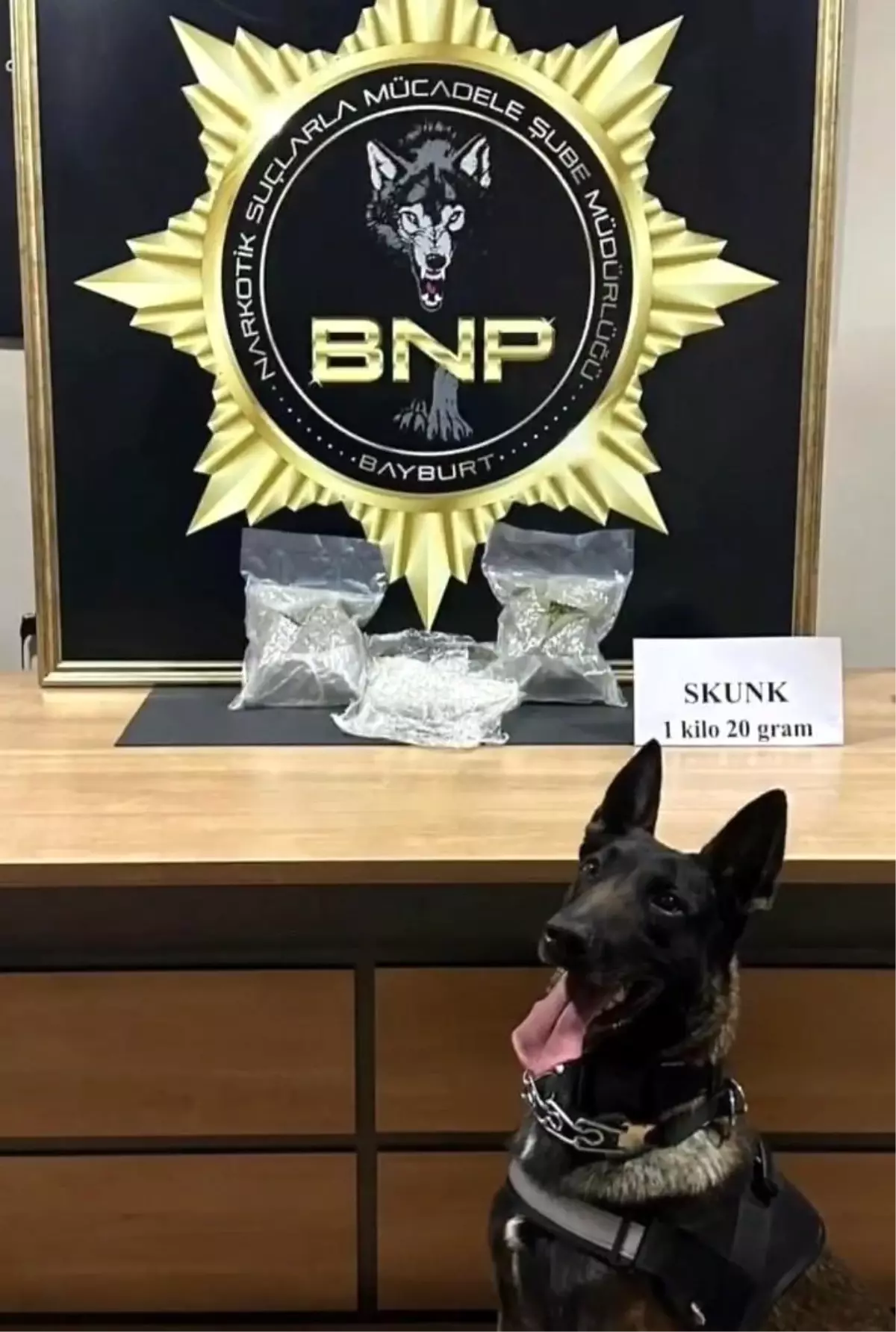 Bayburt'ta Uyuşturucu Operasyonu: 1 Kilo Skunk Ele Geçirildi