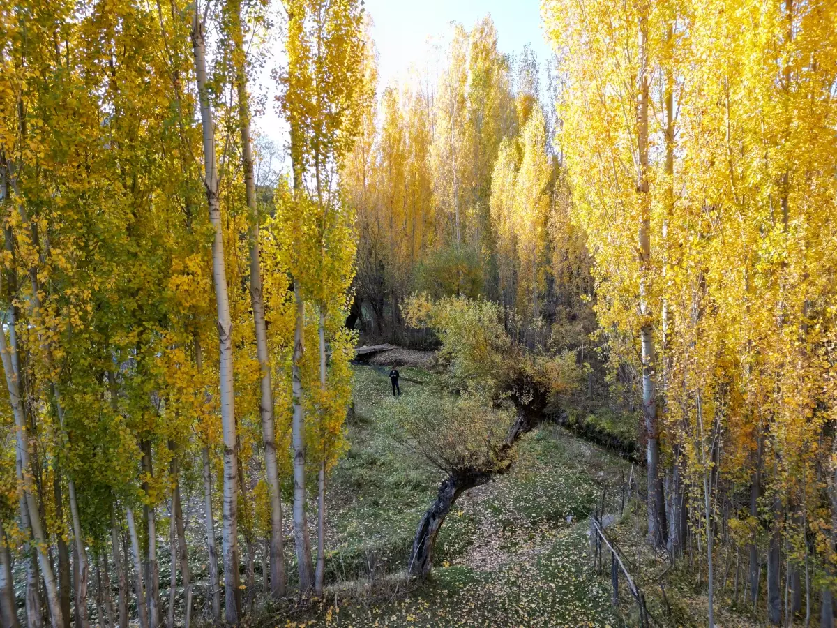 Bitlis'te Sonbahar Renk Cümbüşü