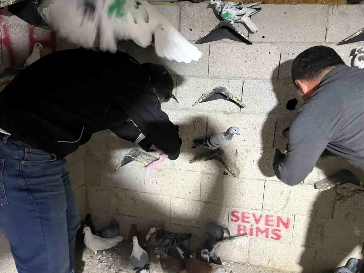 Hatay'da Uyuşturucu Operasyonu: 2,5 Kilo Kannabinoid ve Nakit Para Ele Geçirildi