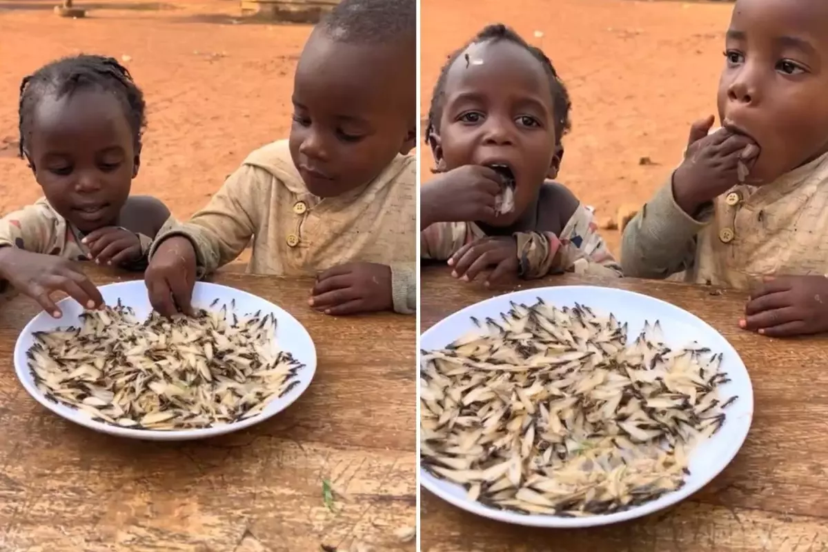 İzleyenler "yok artık" diyor! Yedikleri şeyin ne olduğunu bir bilseniz