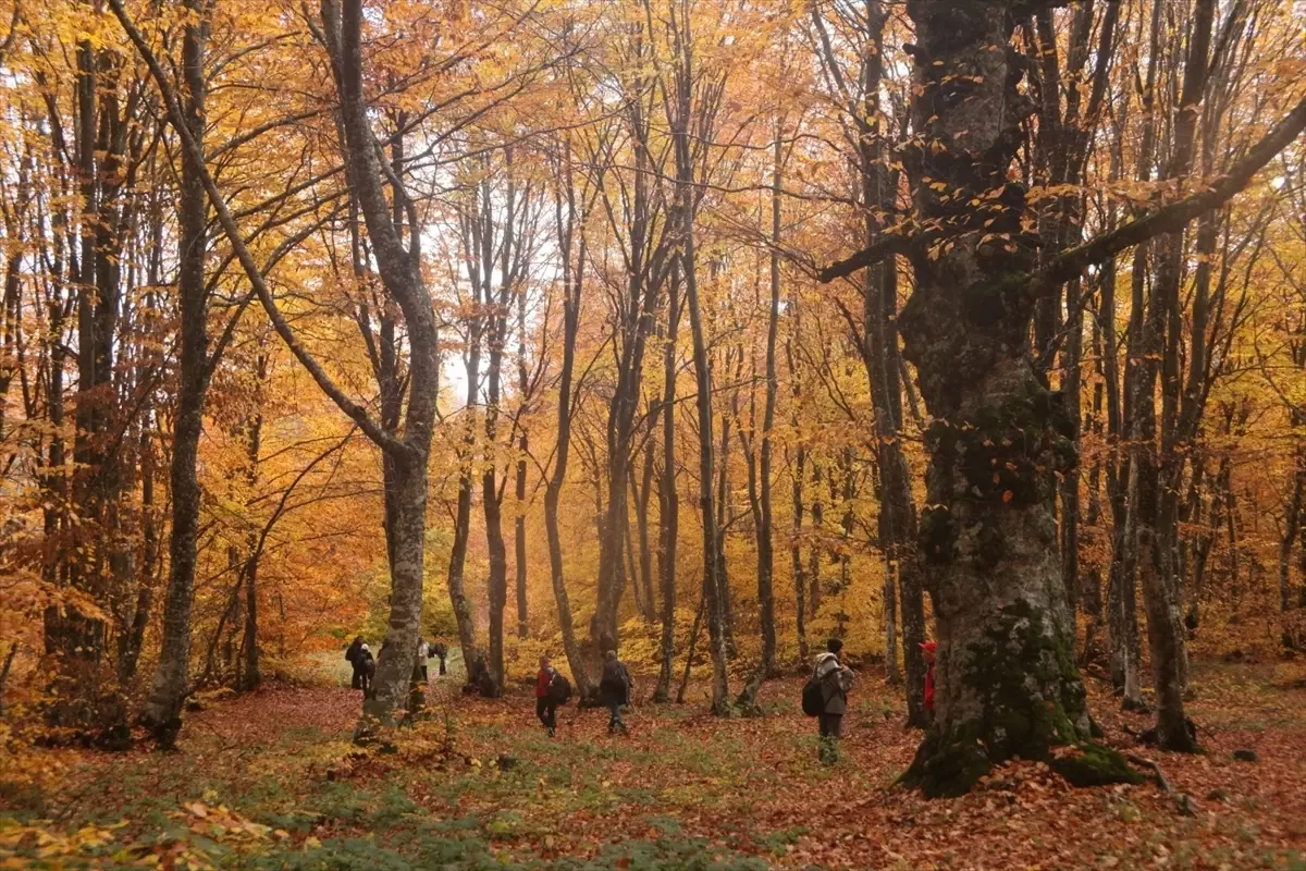 İnegöl Dağları Sonbaharda Doğaseverleri Ağırlıyor